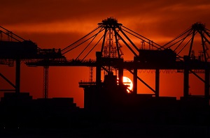 Brexit vote causes factories to rein in investment plans, survey finds